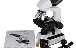 Как выглядит раковая клетка под микроскопом?