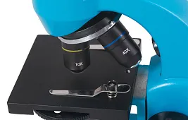 Как выглядит глист под микроскопом