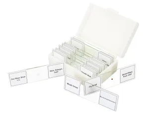 Набор микропрепаратов Bresser 10 шт., в кейсе, изображение 3