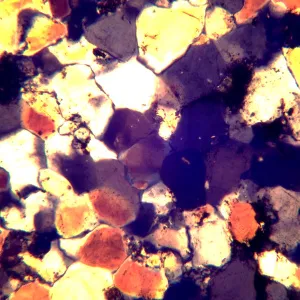 Микроскоп поляризационный цифровой MAGUS Pol D850 LCD, изображение 28