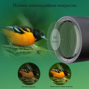 Зрительная труба SVBONY SV46P 20–60x80 ED WP, изображение 9