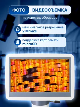 Микроскоп цифровой Levenhuk D95L LCD, изображение 16