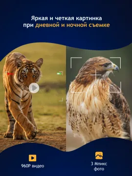 Бинокль цифровой ночного видения Levenhuk Halo 13X Wi-Fi, изображение 16