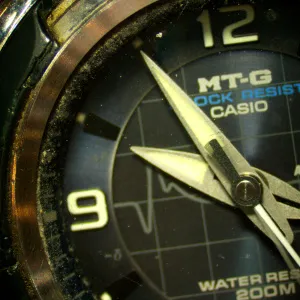 Микроскоп стереоскопический цифровой MAGUS Stereo D8T LCD BASE, изображение 25