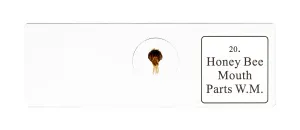 Набор микропрепаратов Bresser «Животные», 30 шт., в кейсе, изображение 6