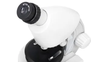 Микроскоп Levenhuk Discovery Micro с книгой, изображение 11