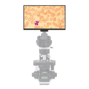 Камера цифровая MAGUS Vision 80 LCD, изображение 4