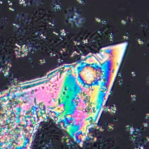 Микроскоп поляризационный цифровой MAGUS Pol D800 LCD, изображение 23