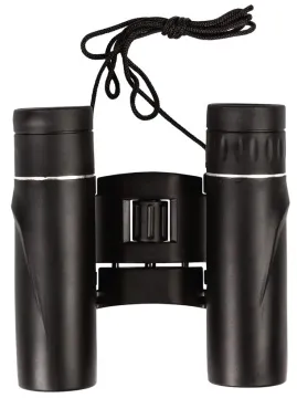 Бинокль PRAKTICA Falcon 10x25, черный, изображение 4