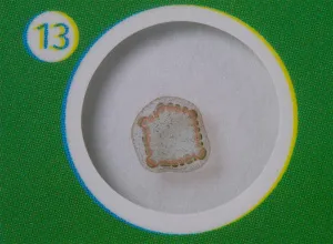 Набор микропрепаратов Levenhuk LabZZ P12, растения, изображение 5