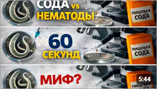 Сода vs нематоды